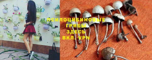 МДПВ Бронницы