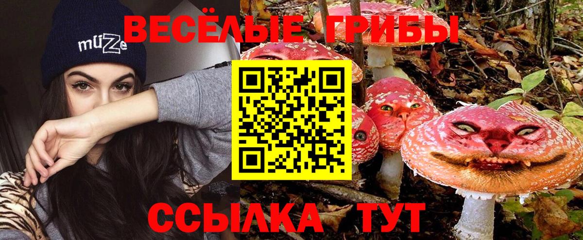 Галлюциногенные грибы Magic Shrooms  как найти наркотики  Гудермес  Вход с VPN 